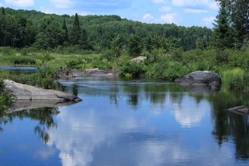 Fototapeta na wymiar Flat lake in forest, blue sky, reflection