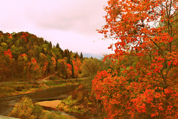Fototapeta premium beautiful autumn nature amazing view