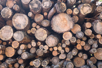 Stacked firewood chopped and placed in a pile; sawed log pieces ends showing