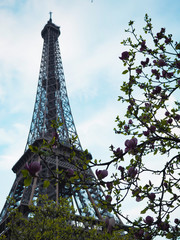 Eiffel Tower of Paris, popular place for tourists