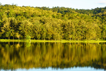 Natural scenery, trees reflected in the water on the reservoir