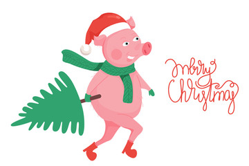 New Year greeting card with funny pig. Cute pig with Christmas tree and hand drawn lettering. Symbol of 2019 on the Chinese calendar. Vector illustration.