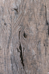 Fototapeta premium old wood texture
