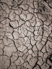 Texture of dry cracked earth. The desert background. The global shortage of water. Deep cracks in brown land as symbol of hot climate and drought.