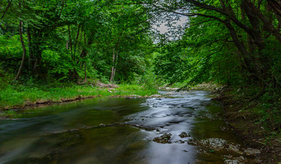 Obraz premium river in green forest