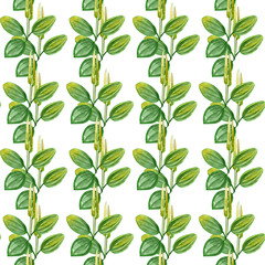 Hand drawn pattern seamless watercolor drawing of plantain with yellow flowers and green leaves isolated on white backdrop.Wildflower for background, texture, wrapper pattern, frame or border