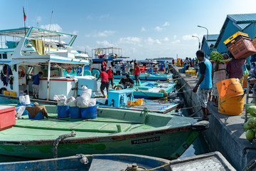 Fototapeta na wymiar モルディブの漁港