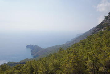 Beautiful summer seascape. Mountain coast of the blue sea. Rocks and forest near the ocean coast.