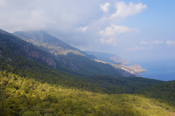 Beautiful summer seascape. Mountain coast of the blue sea. Rocks and forest near the ocean coast.