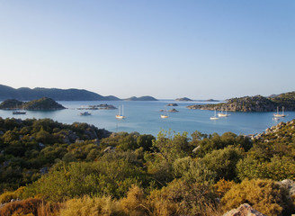 Fototapeta premium Beautiful summer seascape. Mountain coast of the blue sea. Rocks and forest near the ocean coast.