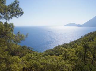 Fototapeta na wymiar Beautiful summer seascape. Mountain coast of the blue sea. Rocks and forest near the ocean coast.