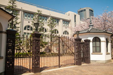 柵のある古い建築物と桜の花
