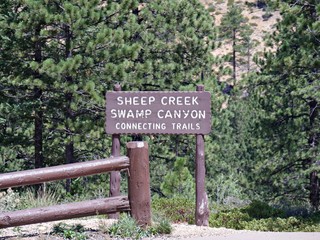 Concrete sign at Sheep Creek Swamp Canyon at Bryce Canyon National Park in Utah, USA. 