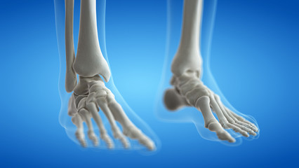 3d rendered medically accurate illustration of the foot bones