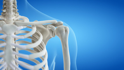 3d rendered medically accurate illustration of the shoulder joint - obrazy, fototapety, plakaty