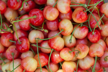 juicy yellow homemade sweet cherry from the garden