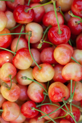 juicy yellow homemade sweet cherry from the garden