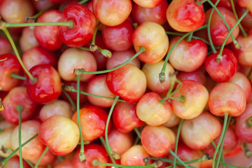 juicy yellow homemade sweet cherry from the garden