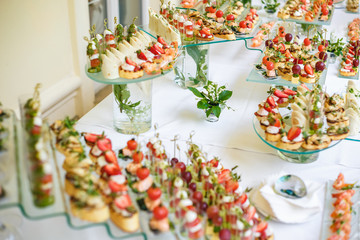 Fototapeta na wymiar Catering. Off-site food. Buffet table with various canapes, sandwiches, hamburgers and snacks.