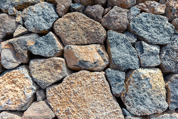 Colorful cactus plants varieties growing on volcanic lava sand soil in cactus garden near Quatiza, Lanzarote, Canary Islands, Spain.