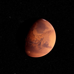 Naklejka premium 3d rendered illustration of the mars