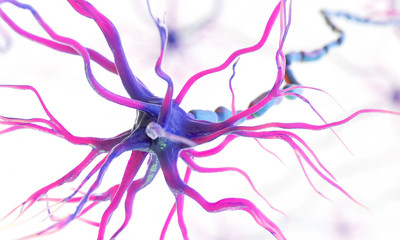 3d rendered medically accurate illustration of a human nerve cell on a white background