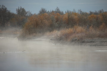 River in foggy morning at late fall