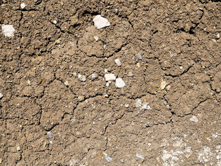 Land with dry and cracked ground, background image, top view