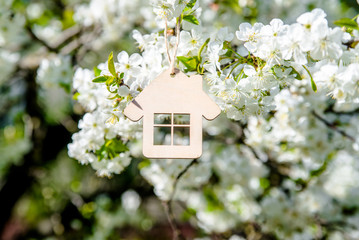 Naklejka premium Symbol of the house on the branches of a flowering cherry 