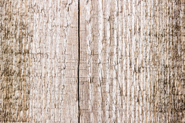 Dark wood texture. Background dark old wooden panels.