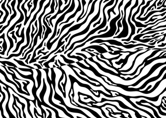 Fototapeta na wymiar Zebra skin pattern design. Abstract animal print vector illustration background. Wildlife fur skin design illustration. For web, home decor, fashion, surface, graphic design