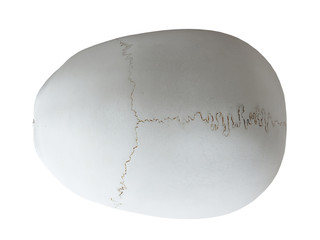 3d rendered medically accurate illustration of a human skull and eyes © Sebastian Kaulitzki