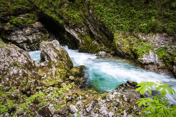 hiking in scenic valley of vintgar gorge in slovenia