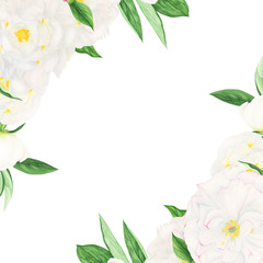 Compositions with white peonies and jasmine flowers, watercolor painting.