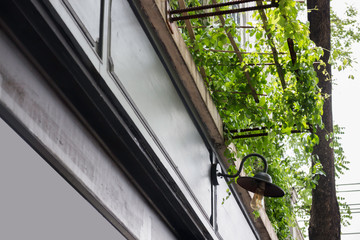 Green plant awning of building exterior