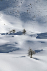 Italian Alps, Valle d'Aosta, Italy. Beautiful alpine snowy landscape in a sunny winter day.