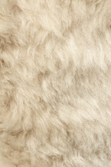 Texture of fur hair background