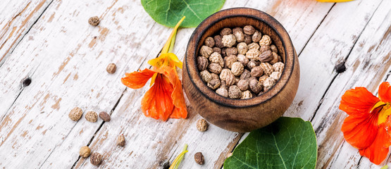 Seeds, and flowers of nasturtium