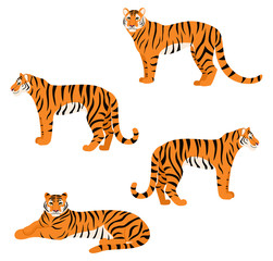 Naklejka premium Zestaw tygrysów na białym tle. Ilustracji wektorowych.