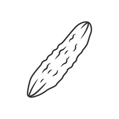 Cucumber linear icon