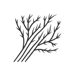 Dill leaves linear icon