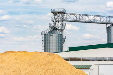 Pellet manufacturing plant ecological resources for the heating of homes © Enrique del Barrio