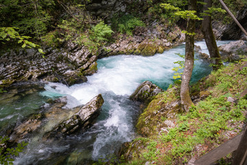 hiking in scenic valley of vintgar gorge in slovenia