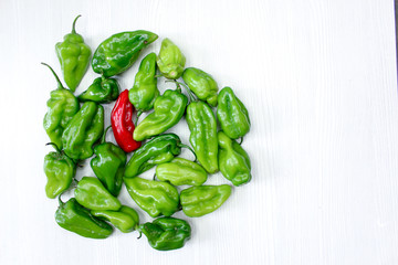 Small red and green peppers on white background