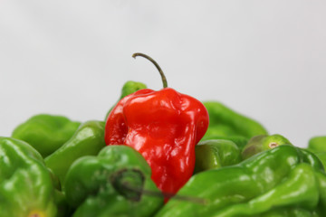 Small red and green peppers on white background