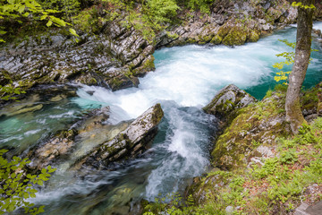 hiking in scenic valley of vintgar gorge in slovenia