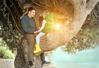 Happy childhood, father and son sit on a tree on a sunny day, fa