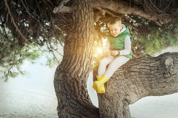 Happy childhood, little boy sits in a tree on sunny day, family
