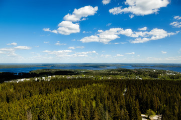 Naklejka premium The view from the heights of the city of Koupio in Finland and lakes in summer in Sunny weather