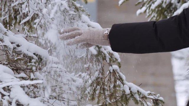 Slow-motion shot of a woman's hand with gloves playing with a tree branch with snow on it. Snow falling down.
Shot on Red Monster 8K. In 4K